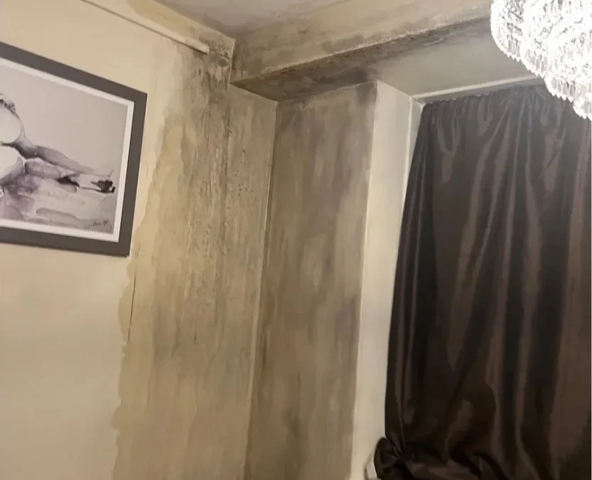 Liverpool Mum Raises Health Concerns Over Severe Damp and Mold in Social Housing