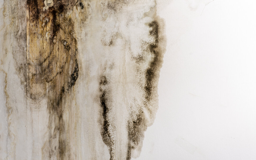 Rising Costs Could Leave Tenants with Damp