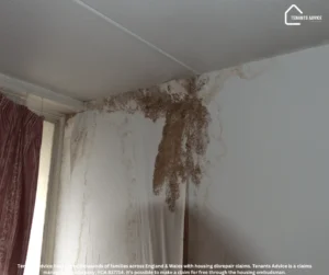 Tenants Advice Disrepair Claims