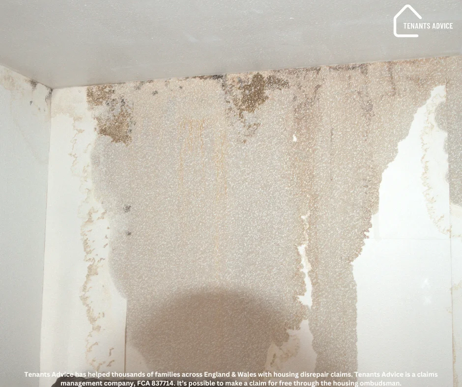 Tenants Advice Housing Disrepair