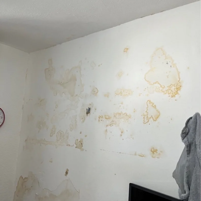 damaged mould ridden wall