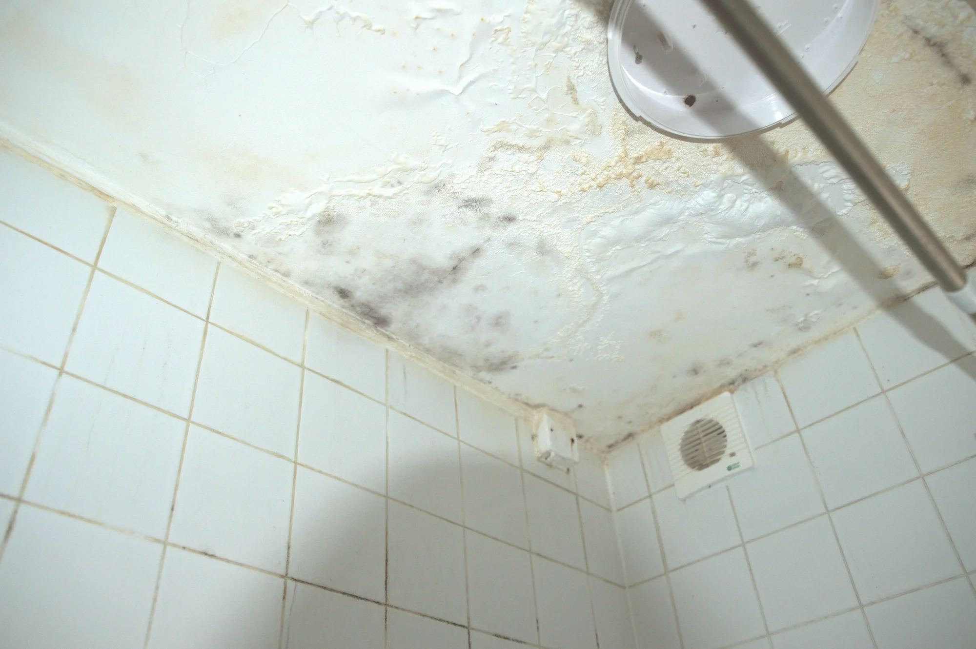 Damp and Mould Affecting Nearly 400 Wiltshire Social Housing Homes