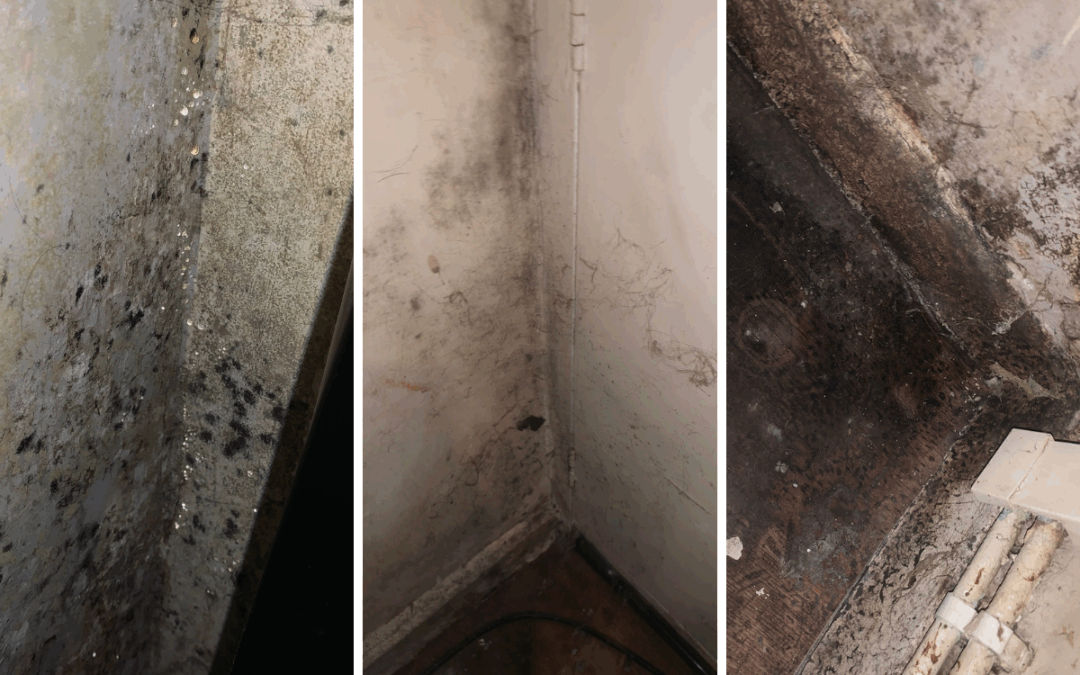 A couple battling a terminal illness is trapped living in a damp, mould-infested housing association home.