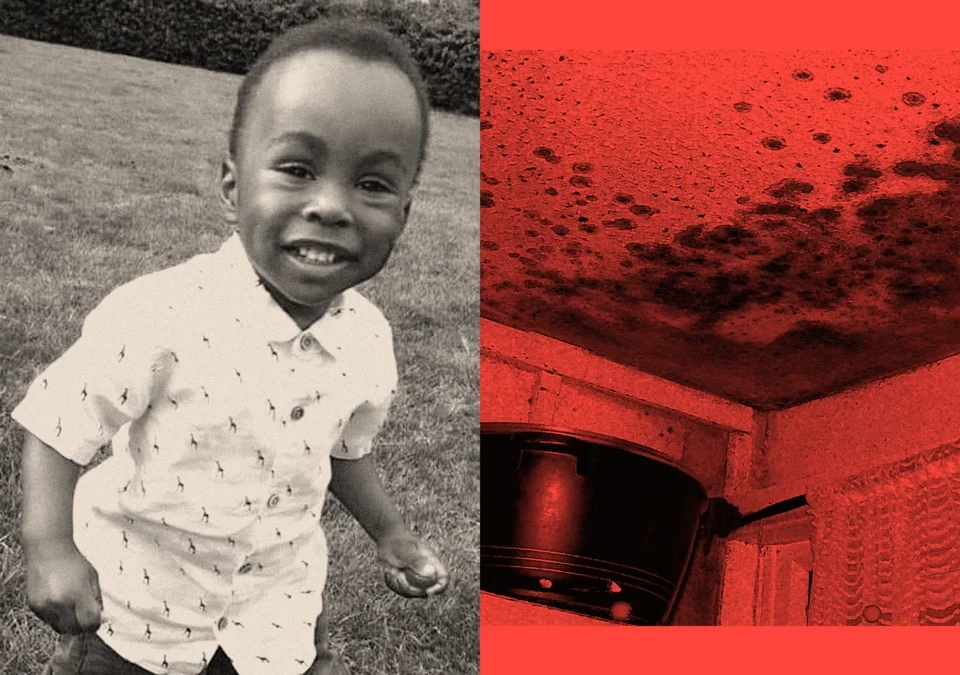 Why hazardous mould remains a major problem in UK housing long after a toddler’s tragic death