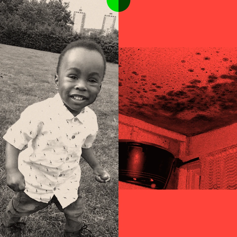 Why hazardous mould remains a major problem in UK housing long after a toddler’s tragic death