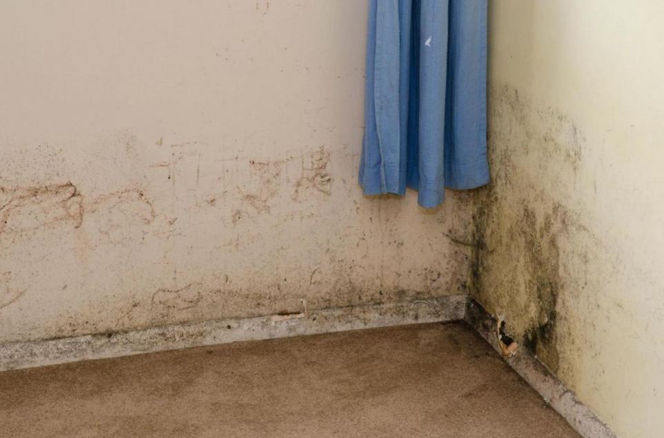 Lewisham Council family of five children stuck in mouldy two-bedroom flat