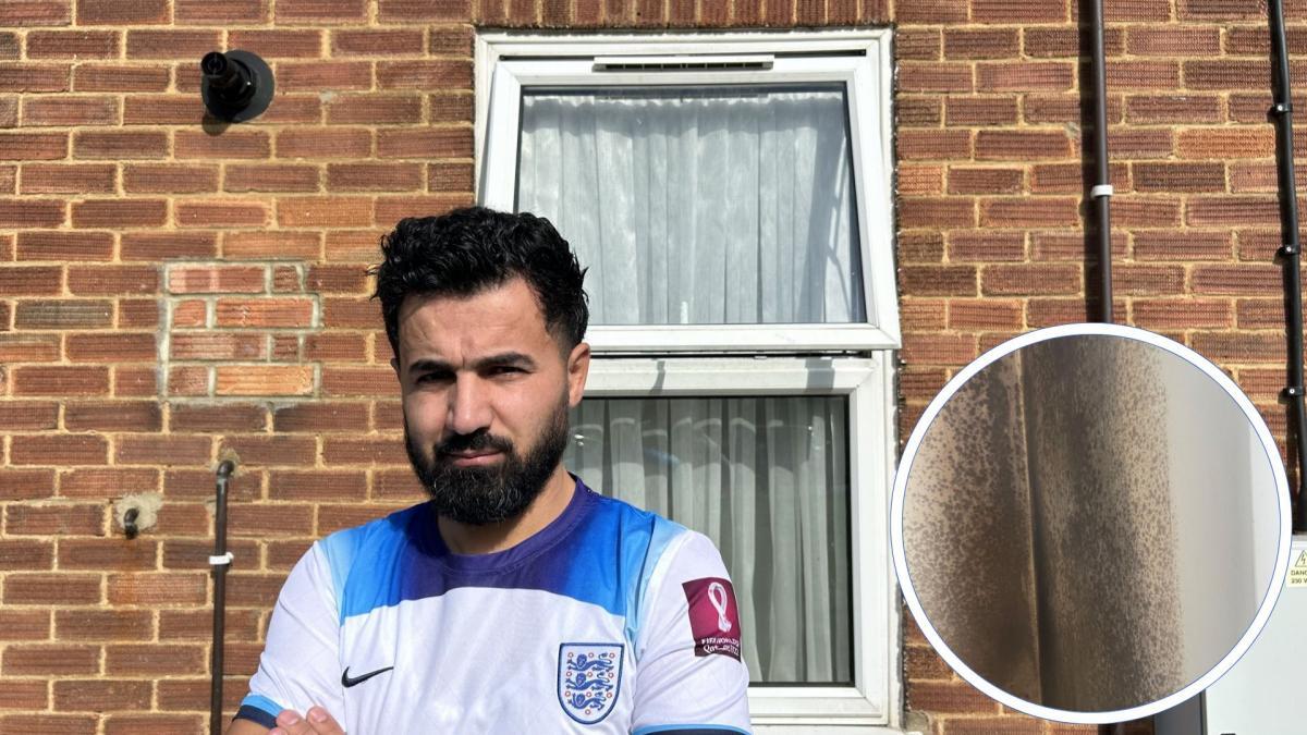 Ipswich family in mouldy, overcrowded home hope to move before Christmas