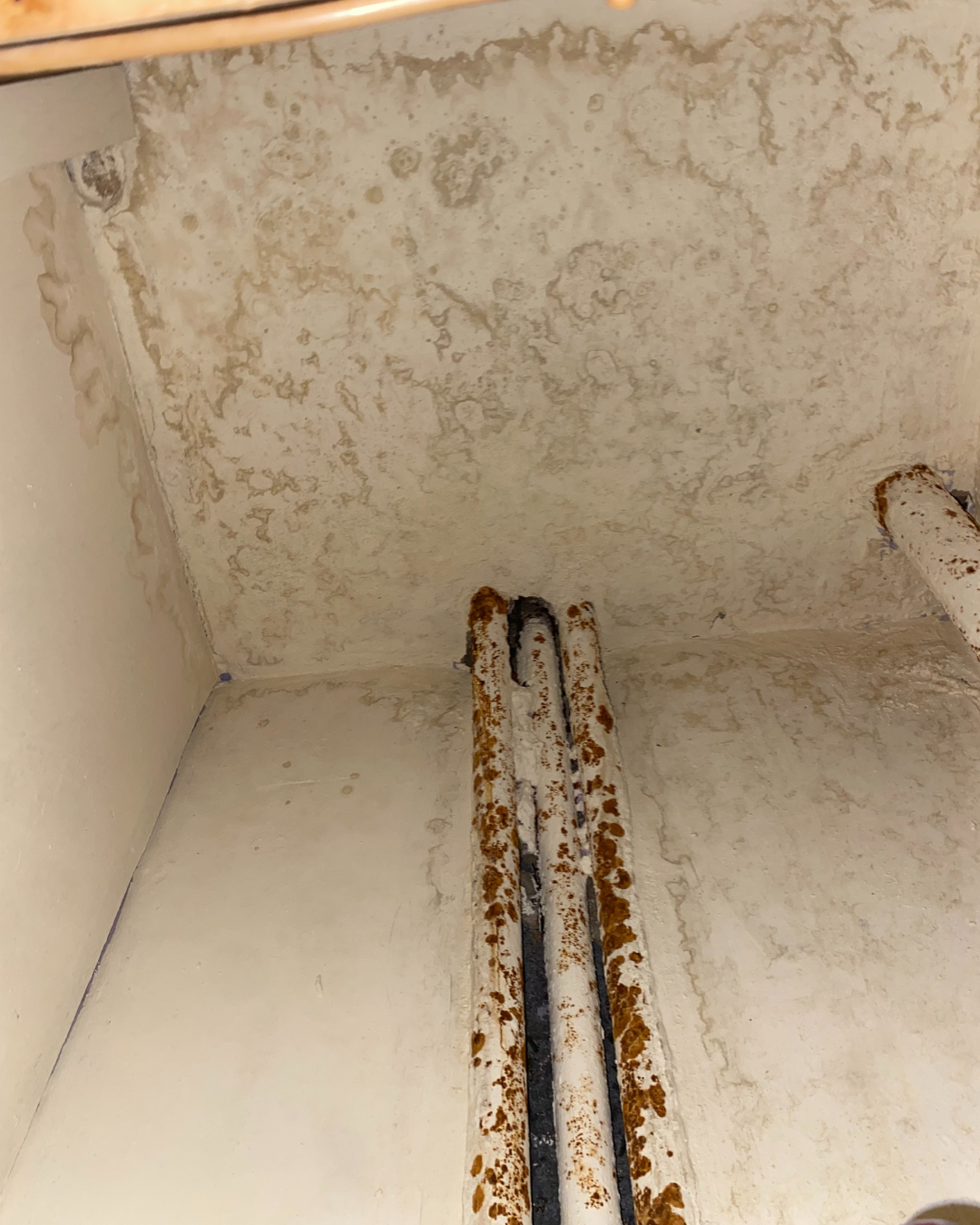 Manchester Housing Disrepair Claims