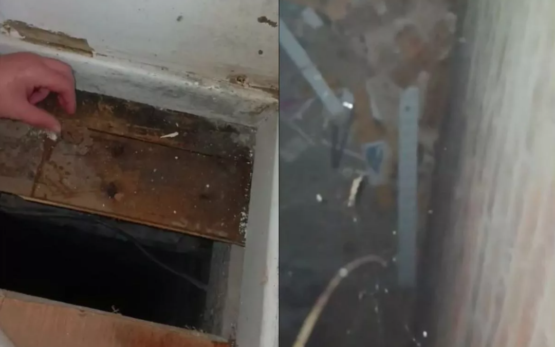 Leeds mum left terrified in mouldy home after spotting silverfish in bedding