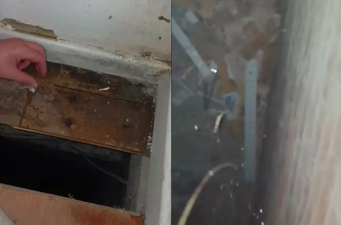 Leeds mum left terrified in mouldy home after spotting silverfish in bedding