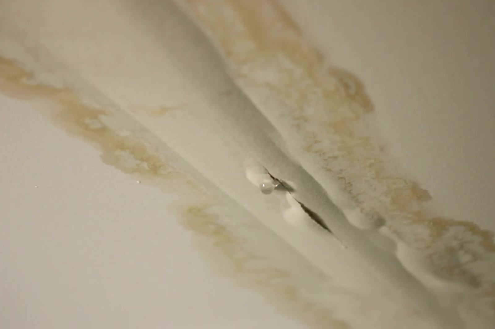 Tenants Advice Housing Disrepair