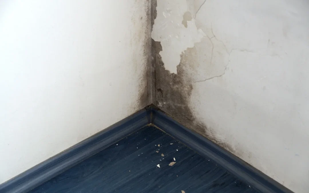 How to Make a Housing Disrepair Claim: A Step-by-Step Guide for UK Tenants