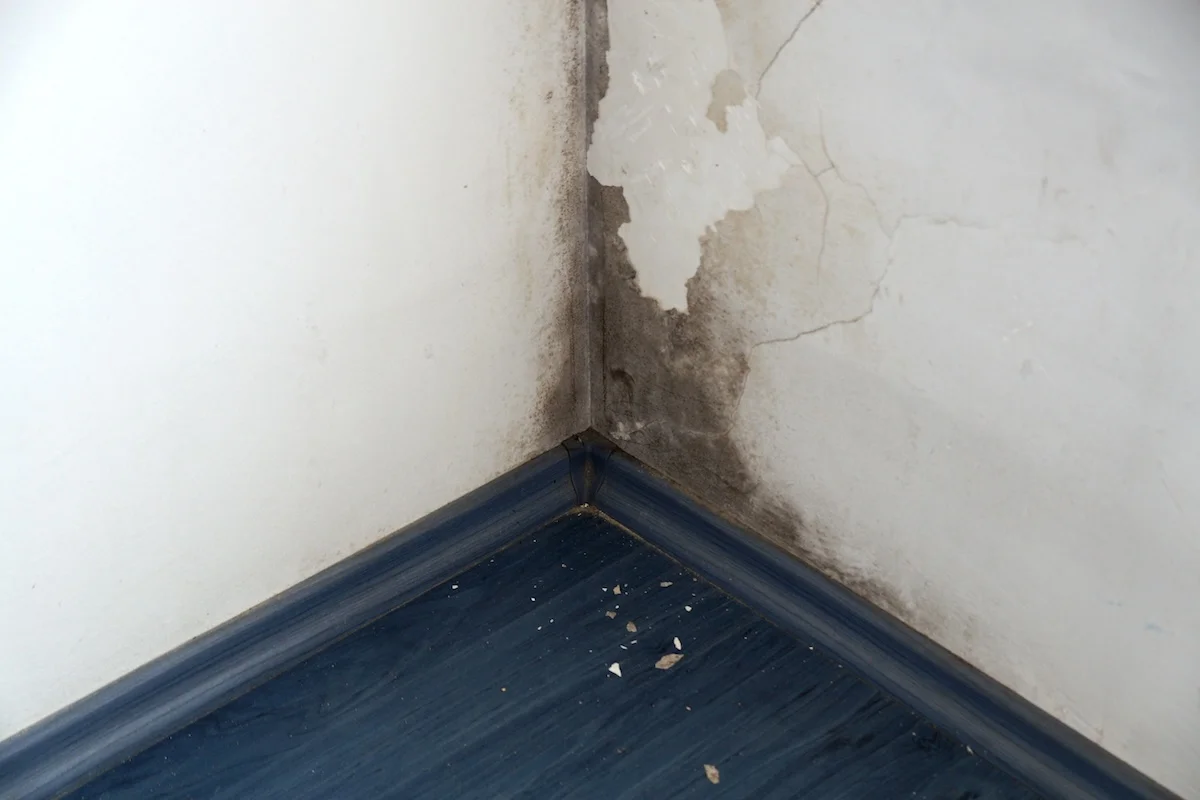 AdobeStock_282109003 Housing Disrepair